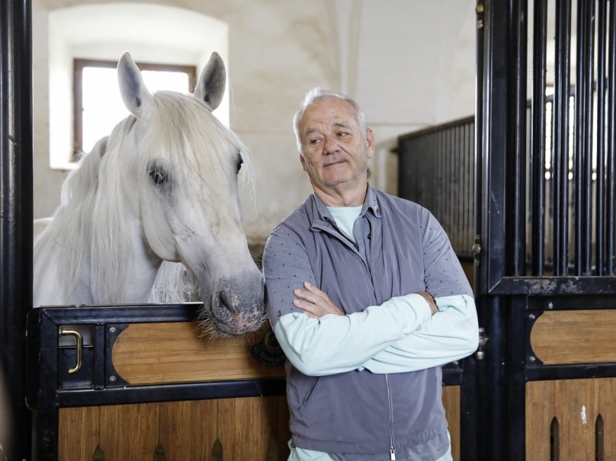 large_article_Bill-Murray-in-lipicanec.jpg