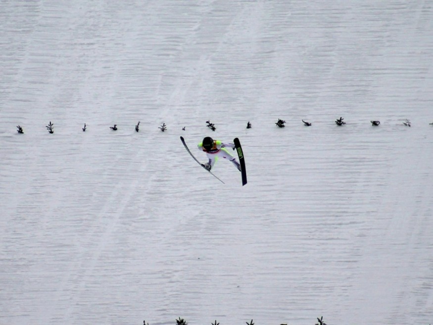 large_article_Peter Prevc_Planica 2016_14 zmaga.jpg